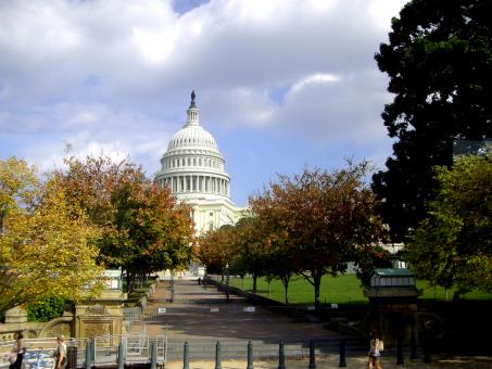 Free Stock Photo of Washington D.C. Famous Landmarks