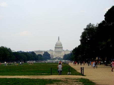 Free Stock Photo of Washington D.C. Famous Landmarks