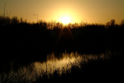 Free Stock Photo of Sunset