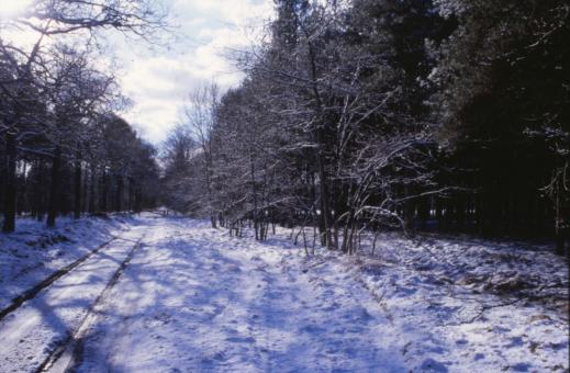 Free Stock Photo of Winter Landscape