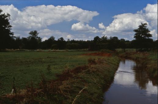 Free Stock Photo of Landscape