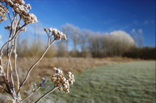 Free Stock Photo of Winter Landscape