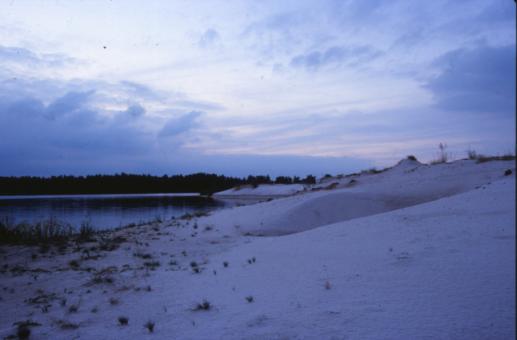 Free Stock Photo of Winter Landscape