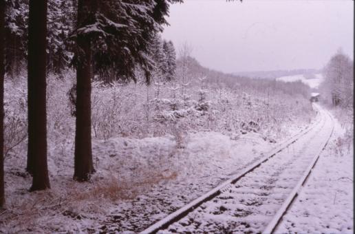Free Stock Photo of Winter Landscape
