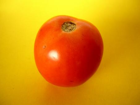 Free Stock Photo of Tomato