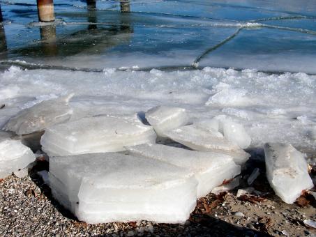 Free Stock Photo of Cold Milwuakee
