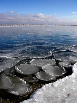 Free Stock Photo of Cold Milwuakee