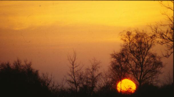 Free Stock Photo of Sunset