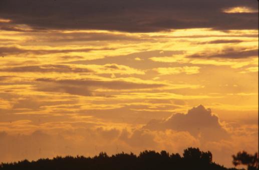 Free Stock Photo of Sunset
