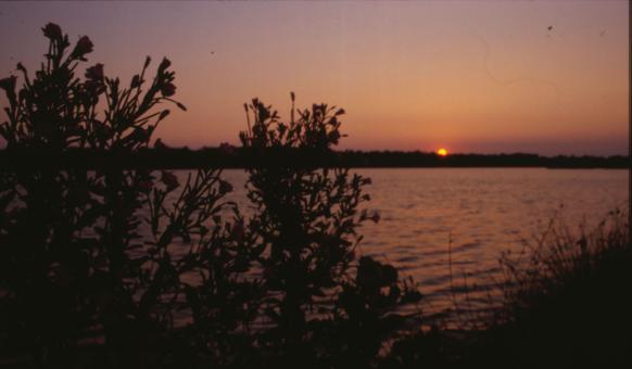 Free Stock Photo of Sunset