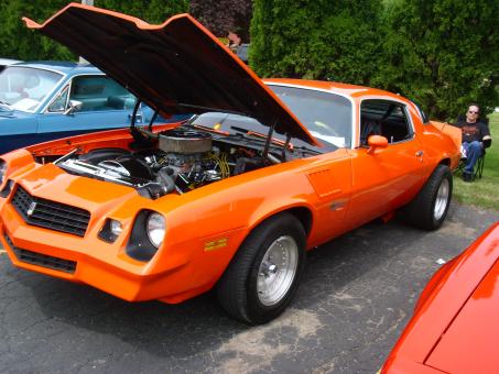 Free Stock Photo of Orange Maro