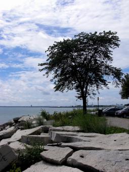 Free Stock Photo of Milwaukee Beachfront