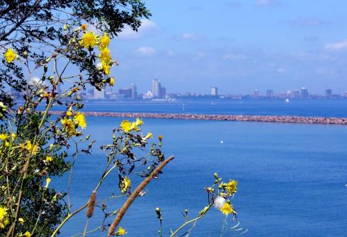 Free Stock Photo of Milwaukee Bluffs
