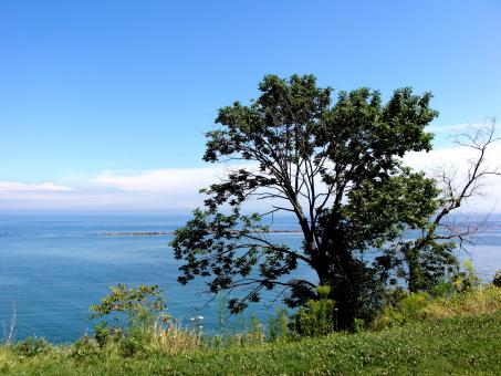Free Stock Photo of Milwaukee Bluffs