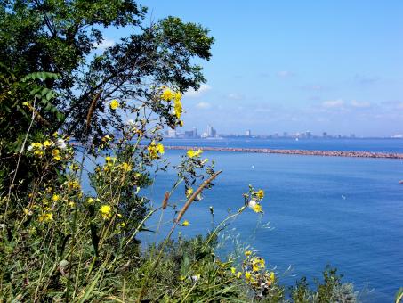 Free Stock Photo of Milwaukee Bluffs