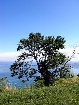 Free Stock Photo of Milwaukee Bluffs