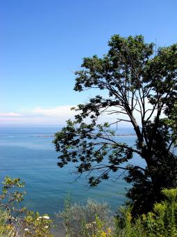 Free Stock Photo of Milwaukee Bluffs