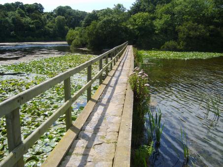 Free Stock Photo of Bosh bridge