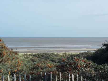Free Stock Photo of Beach 32