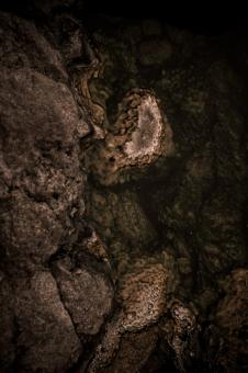 Free Stock Photo of Stone and Water Texture