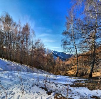 Free Stock Photo of Winter View