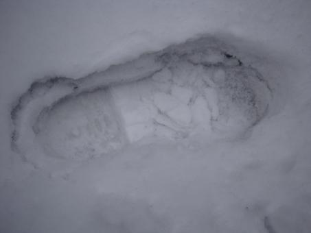 Free Stock Photo of Footprint in the snow