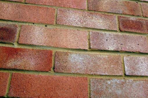 Free Stock Photo of Brick Wall