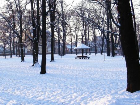 Free Stock Photo of Park