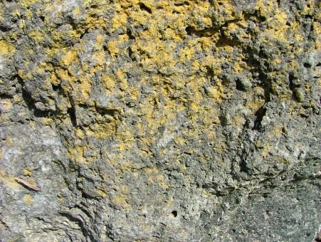 Free Stock Photo of Rocky Yellow