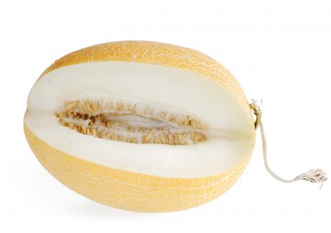 Free Stock Photo of Fresh Melon