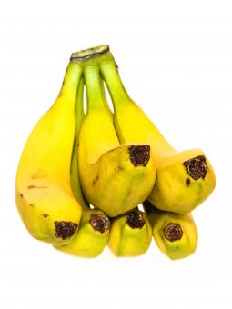 Free Stock Photo of bananas