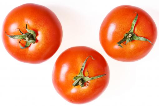 Free Stock Photo of tomato
