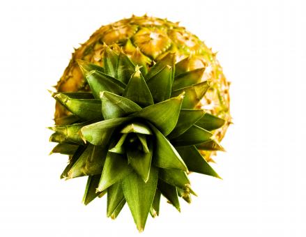 Free Stock Photo of pineapple