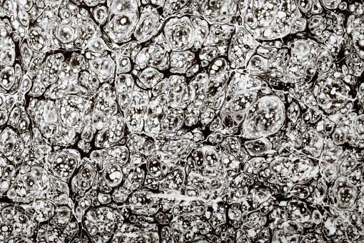 Free Stock Photo of grunge background