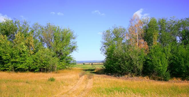 Free Stock Photo of scene of nature