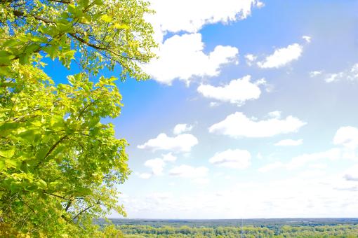 Free Stock Photo of sky