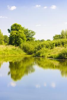 Free Stock Photo of lake