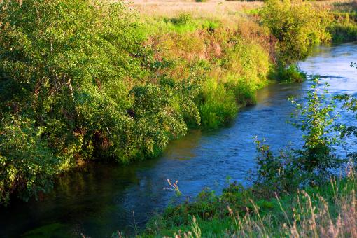 Free Stock Photo of river