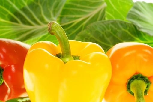 Free Stock Photo of Healthy Eating