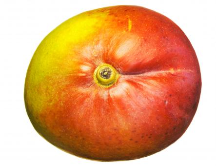Free Stock Photo of Healthy Eating