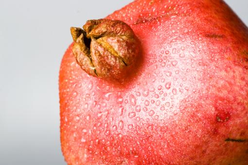 Free Stock Photo of Healthy Eating
