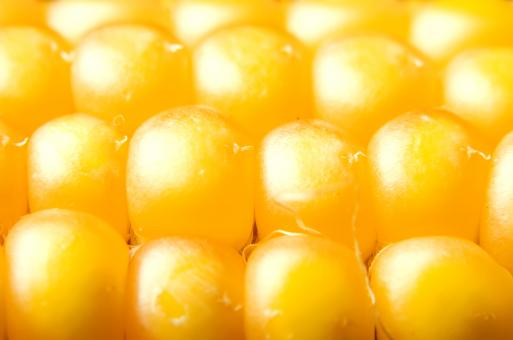 Free Stock Photo of healthy eating 