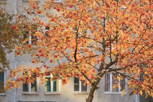 Free Stock Photo of Daylight