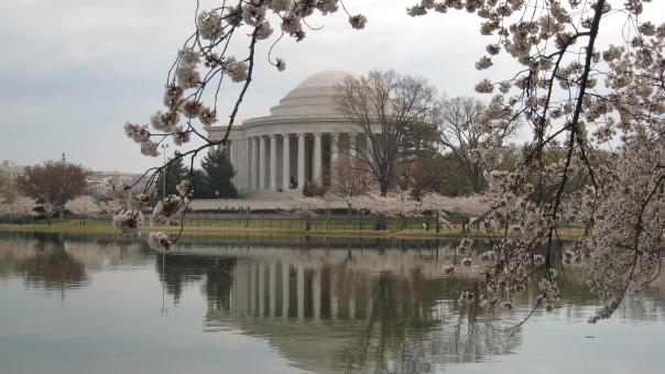Free Stock Photo of Jefferson Memorial