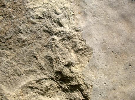 Free Stock Photo of Stone Surface Texture