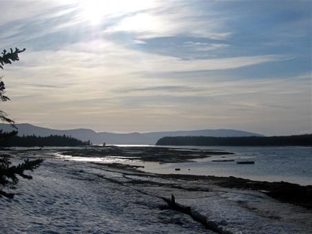 Free Stock Photo of Winter Landscape
