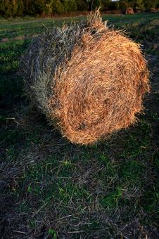 Free Stock Photo of haystack