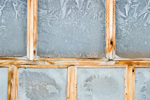 Free Stock Photo of Hoarfrost