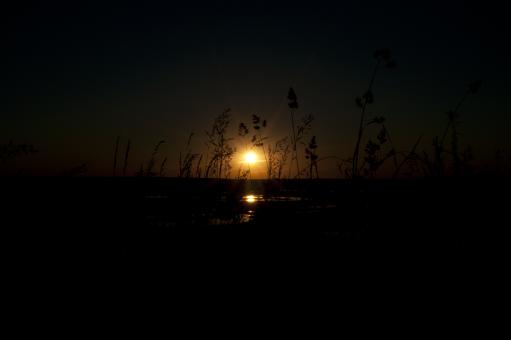 Free Stock Photo of Light is in darkness