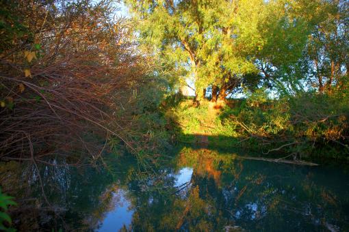 Free Stock Photo of Riverscene